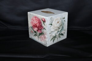 Boîte à Mouchoirs 