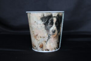 Cache-pot 